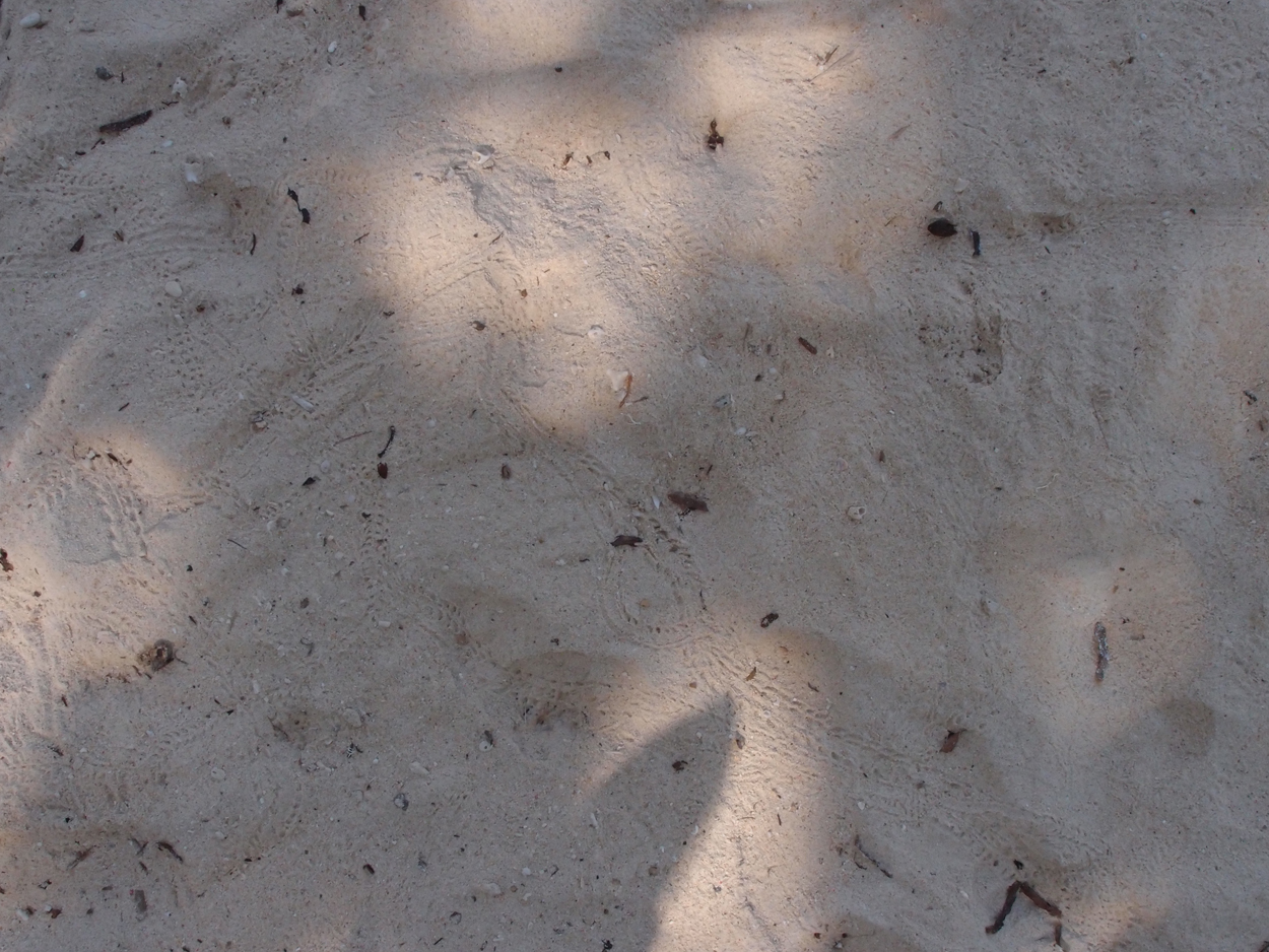 2015-10-07 04 Sand (Foto)